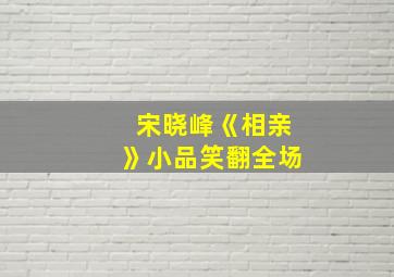 宋晓峰《相亲》小品笑翻全场