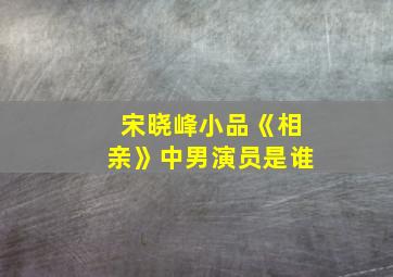 宋晓峰小品《相亲》中男演员是谁