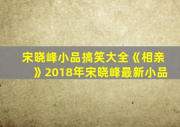 宋晓峰小品搞笑大全《相亲》2018年宋晓峰最新小品