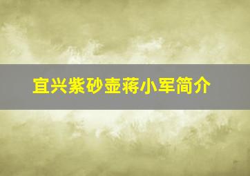 宜兴紫砂壶蒋小军简介