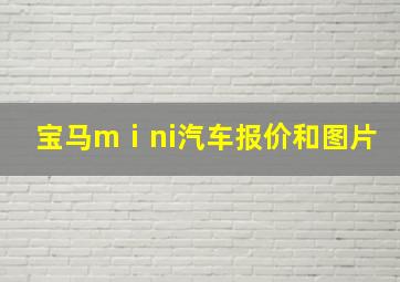 宝马mⅰni汽车报价和图片