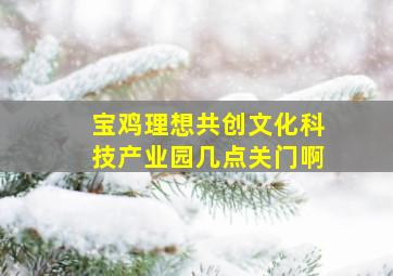 宝鸡理想共创文化科技产业园几点关门啊