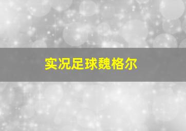 实况足球魏格尔