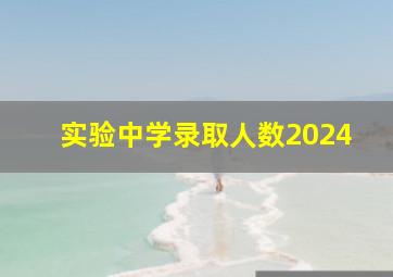 实验中学录取人数2024