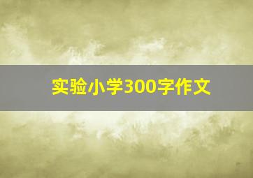 实验小学300字作文