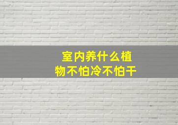 室内养什么植物不怕冷不怕干