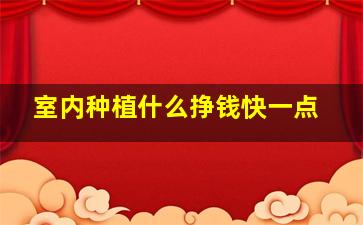 室内种植什么挣钱快一点