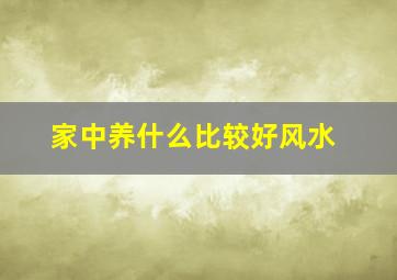 家中养什么比较好风水