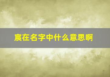 宸在名字中什么意思啊