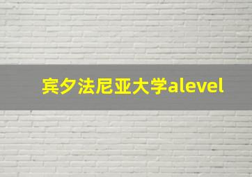 宾夕法尼亚大学alevel