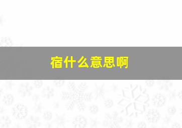 宿什么意思啊