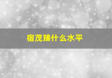 宿茂臻什么水平