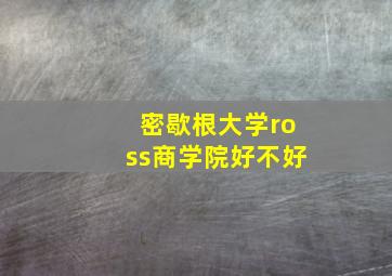 密歇根大学ross商学院好不好