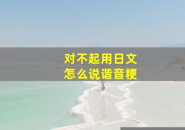 对不起用日文怎么说谐音粳