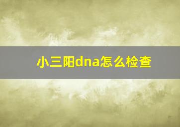 小三阳dna怎么检查