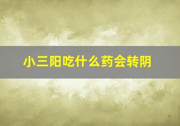 小三阳吃什么药会转阴