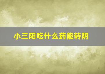 小三阳吃什么药能转阴