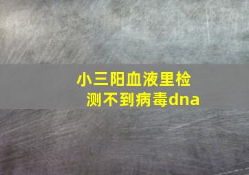 小三阳血液里检测不到病毒dna