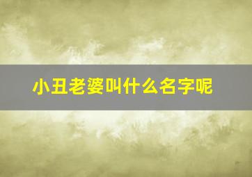 小丑老婆叫什么名字呢