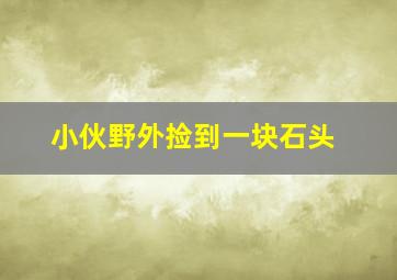 小伙野外捡到一块石头