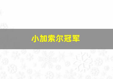 小加索尔冠军