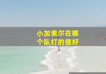 小加索尔在哪个队打的很好