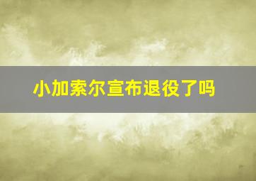 小加索尔宣布退役了吗