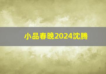 小品春晚2024沈腾