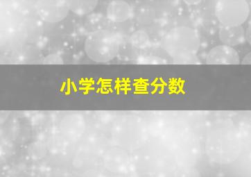 小学怎样查分数