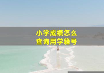 小学成绩怎么查询用学籍号