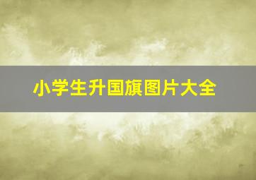 小学生升国旗图片大全