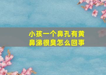 小孩一个鼻孔有黄鼻涕很臭怎么回事