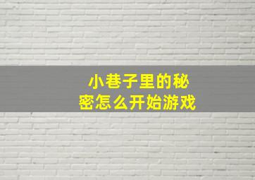 小巷子里的秘密怎么开始游戏