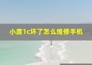 小度1c坏了怎么维修手机