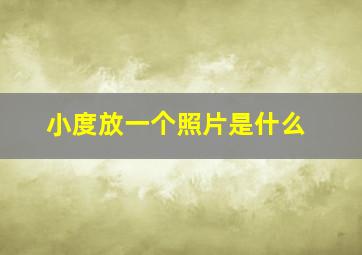 小度放一个照片是什么