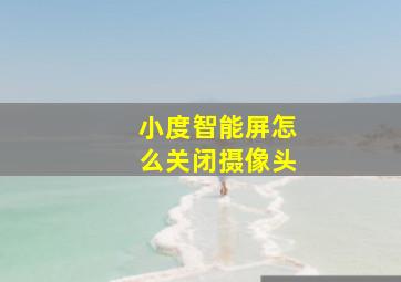 小度智能屏怎么关闭摄像头