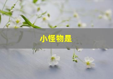 小怪物是