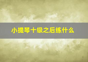 小提琴十级之后练什么