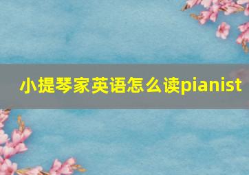 小提琴家英语怎么读pianist