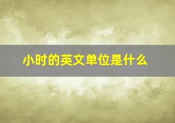 小时的英文单位是什么