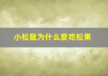 小松鼠为什么爱吃松果