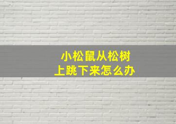 小松鼠从松树上跳下来怎么办