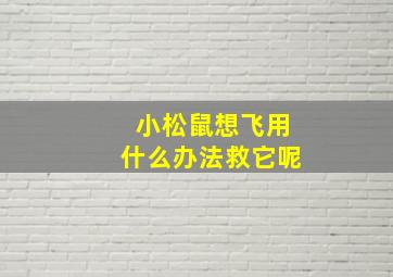 小松鼠想飞用什么办法救它呢