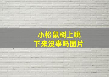 小松鼠树上跳下来没事吗图片