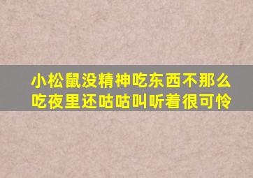 小松鼠没精神吃东西不那么吃夜里还咕咕叫听着很可怜