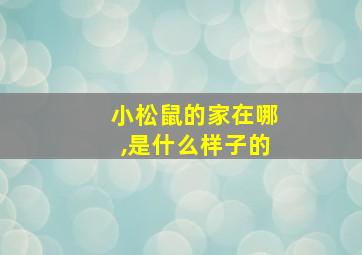 小松鼠的家在哪,是什么样子的