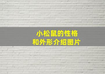 小松鼠的性格和外形介绍图片