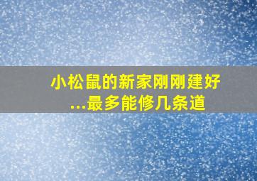 小松鼠的新家刚刚建好...最多能修几条道