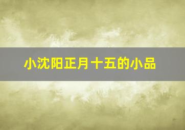 小沈阳正月十五的小品