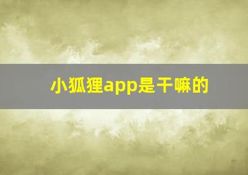 小狐狸app是干嘛的